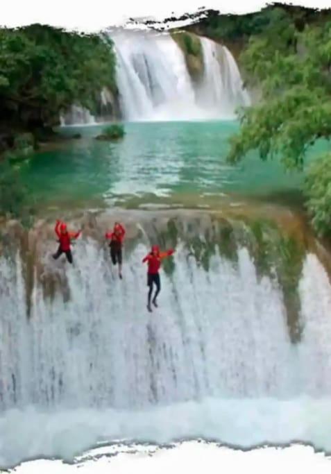 Apto Campestre Nativa Park - *