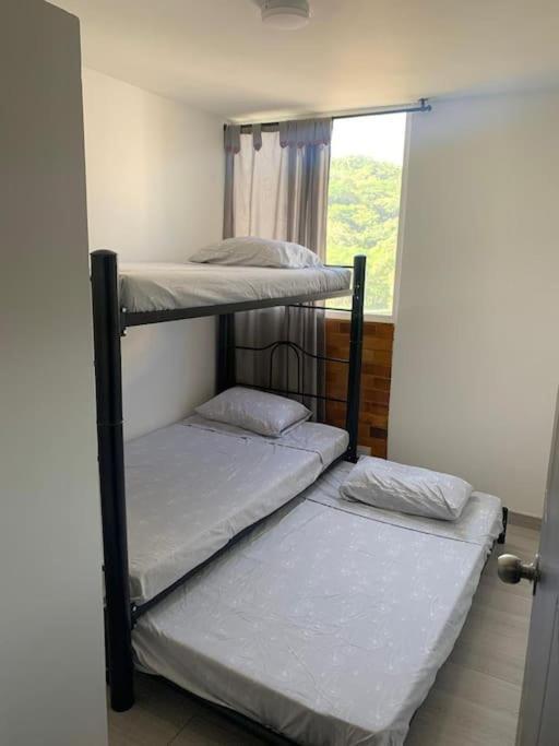 Apto Campestre Nativa Park - *